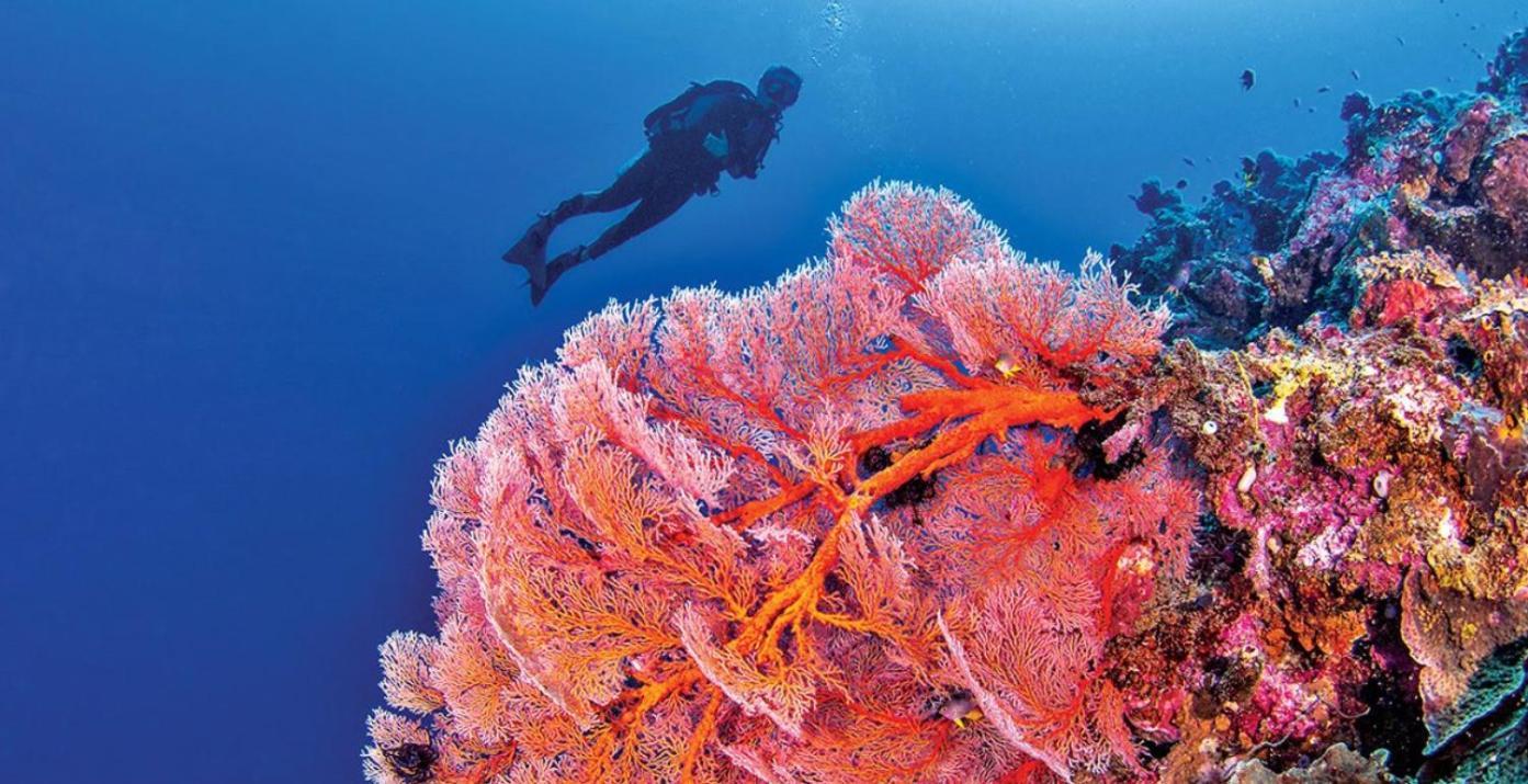 Pristine Paradise Dive Resort - Togean Islands, Una Una Pulau Unauna ภายนอก รูปภาพ